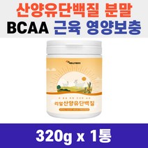 분리 유청단백 프로틴 BCAA 에너데이 리얼 산양유 단백질 320g 분말 가루 먹는 법