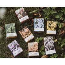 감성 미니 엽서 100매 사계절 꽃 플라워 인스 다꾸 다이어리 꾸미기 종이 엽서 선물, 빨간색