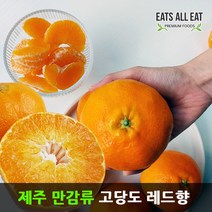 이츠올릿 제주 감귤 레드향 3kg 하우스 제주도 귤 택배 선물 세트, 레드향＋선물가방_5kg(특대_8-16과)