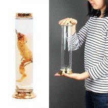 용천 유리주병(수동76호 850ml)/술병 인삼 과실주병