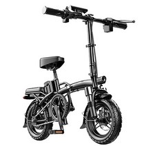 독일의 유명한 접이식 전기 자전거 소형 리튬배터리 초경량 대용량 배달용 출퇴근용 스쿠터 자전거 해외 직구, 플래그십 에디션 블랙 25A 125KM