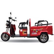이지모터스 친환경 전기 전동차 3륜 EG-200