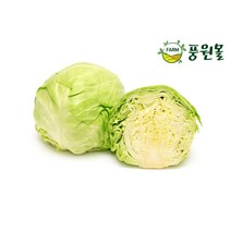 풍원영농조합법인 아삭한 양배추, 못난이 1BOX, 3.5kg내외