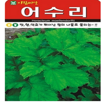 아람종묘 어수리 50립