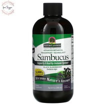 네이처스앤서 삼부커스 블랙 엘더베리 액상 12000mg 240ml, 1개
