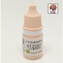 초정밀 페인트 안료 모델 색칠 손 그림 단색 펜 안전 수성 매트 SHEIK 본토 3d 인쇄 부품 2058-2100 좋은, 17 BT2081skin