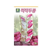 덩굴성 적작두콩 씨앗 5립 다수확품종 조경소재 가능, 1개