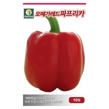 더존 복수박 씨앗 10립 - 수박씨 복수박씨 꿀수박 야채씨앗 채소씨앗 채소재배 종묘 종자 베란다 텃밭 씨 씨앗 오이 호박 방울토마토 참, 22_다농_오메가 레드파프리카(10립)