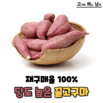 자두엄마네농장 2020년산 삼광쌀 GAP 인증 백미 5kg