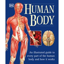 (영문도서) The Human Body: An Illustrated Guide to Every Part of the Human Body and How It Works Paperback, DK Publishing (Dorling Kind...