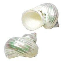 [백곰마켓] 소라게 쉘 우드 그린 화아트 하우스 집 탈피 소라 껍데기 은신처 용품 어항 꾸미기 키우기, 1개, 화이트+스티커제공