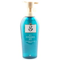 려 모발케어 두피 딥클렌징 지성피부용 샴푸 500ml, 1개