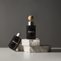 메이튼 스탠다드M 차량용 디퓨저 100ml 본품, 차량용 디퓨저100ml+우드 볼 스틱 2개, 에어프릴 프레시, 2개, 에어프릴 프레시