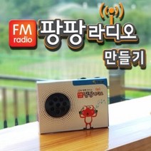 팡팡 FM 라디오 만들기, 없음