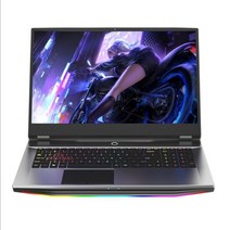 17.3 인치 게임용 노트북 i9-9900KF GTX1050Ti 32G 64G 1TB 데스크탑 성능 지원 인텔 6789 세대 프로세서 DIY 가능, i9-9900KF 16G-512GB, 우리, 인텔 i9-9900KF