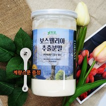 인도산 보스웰리아 추출분말 원물 가루 보수엘라 보스베리아 보스 엘리아 보수 웰리아 웰릭산 관절연골 300g/밀폐용기, 1통, 300g