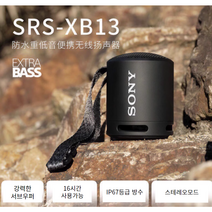 소니 휴대용 블루투스 스피커 SRS-XB100, 스페이스그레이, SRS-XB13