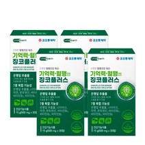 여성 식약청 은행잎 추출물 떨림 징코 징크 혈행 머리 뇌 혈관 에 좋은 영양제 식품 부모님 노인 순환 영양제 보조 식약처 인정 홈쇼핑 추천 머리에 40대 50대 60대, 4개(4개월분)