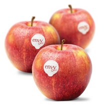 정품 엔비 사과 2.5kg 소과 13-15과 내외, 단품