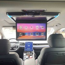 차량 뒷자석 모니터 천장 TV 설치 캐라반 캠핑카 SUV, 17.3인치MP5미러링+HDMIIPS