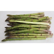 국내산 제주 아스파라거스 1kg, 2번크기 1kg(대)