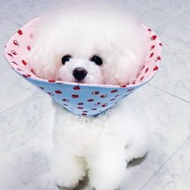 독캣맘 푸들넥카라 강아지 넥카라 고양이넥카라 미니애플 순면 가볍고 탄탄한 깔대기 목보호대 넥쿠션 초경량, 25~26cm, 핑크미니애플