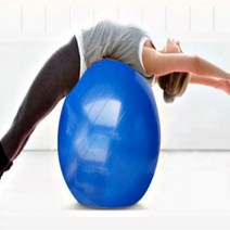 다이어트짐볼 다이어트 짐볼 55cm 65cm 코어운동 유연성운동, 퍼플