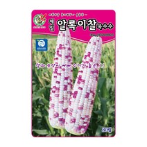 오스템 옥수수씨앗 제일알록이찰옥수수 80립