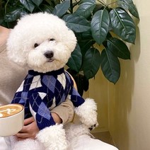 반려동물 강아지 체크스웨터 블루 옷 예쁜티셔츠 가을 겨울 XS S M L XL XXL 귀여운애견옷 웰시코기 말티즈 푸들 포메라니안 아기 강아지 명품 옷