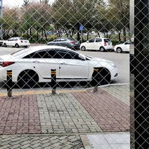 유리 창 시트지 샤워부스 필름 1m x 1m (T667)