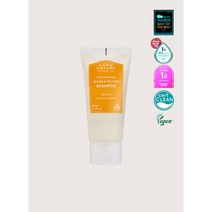 닥터올가 호호바 티트리 샴푸 60ml [헤어2종샘플 증정], 단품
