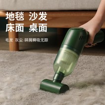 차량용청소기 필립스 자동차 진공 청소기 가정용 소형 무선 충전 대형 흡입력 강력한 휴대용 애완 동물 헤어 매트 카펫 러그, [10] ★회원혜택★