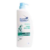 `헤드앤숄더 가려운 두피 케어 컨디셔닝 린스 850ml, 가려운 두피케어 샴푸 850ml, 화수분쿠팡 1, 1개