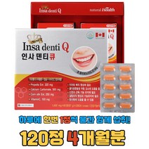 잇몸 영양제 인사덴티큐 프로폴리스 비타민C 칼슘, 1개, 120정