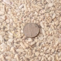 바보사랑 산호사 10~15mm 1포.미미네아쿠아