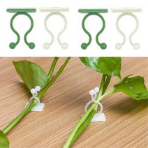 접착식 식물 넝쿨 고정 클립 후크 덩굴 고정핀 50개 (10px5)
