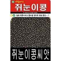 [워터트리몰] 채소 종자 재배 씨앗 쥐눈이콩씨앗(600g) (A)