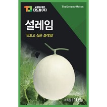 더드림 [설레임] 멜론씨앗 멜론종자 / 맛보고싶은 설레임 백자멜론 멜론씨, 1개