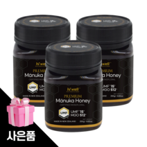 하이웰 마누카꿀 UMF10 뉴질랜드마누카꿀 250g 3개