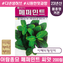 23년산 페퍼민트 씨앗 200립- 이태리산 다년생 허브 mint seeds, 1개