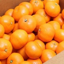 고당도 제주 귤 노지 감귤 5kg, 1box, 5kg 2S