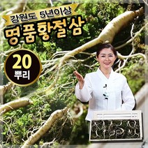 강원도 명품 황절삼 5년근 인삼, 본품 10뿌리+10뿌리