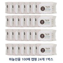 하늘선물 물티슈 캡형