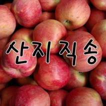 [2022년햇사과]] 청송사과 실속 쥬스용 10kg, 1박스, 01.갈아먹는 흠집사과 10kg 쥬스용-소과