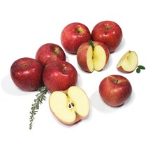 아침이슬사과 부사사과(가정용) 3kg/5kg/9kg 모음 실중량, 20 부사사과 가정용 간식 실중량