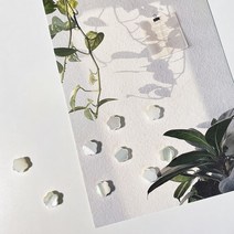 [6개]관통형 8mm 다섯잎꽃 화이트자개 3-405-1 비즈공예 팔찌만들기 목걸이 부자재