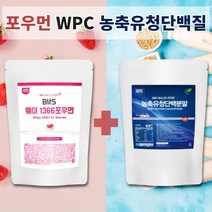여성 여자 단백질 보충제 딸기 프로틴 미국산 농축유청단백질 WPC 웨이프로틴 유청단백질 프로틴 쉐이크 파우더 가루 식사대용 아미노산 BCAA