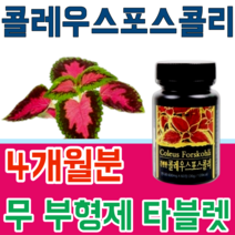 식품 안정선 검사 통과한 힐링 콜레우스 포스콜리 콜리우스 포스코리 간편하게 먹는 무 부형제 스테아린 마그네슘 이산화규소 없는 무첨가 타블렛 파는곳 추천, 4