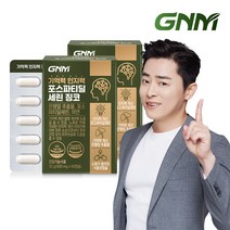 GNM 기억력 인지력 포스파티딜세린 징코 PS 2박스 (총2개월분) / 은행잎추출물 두뇌건강