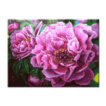 모모픽스페인팅 DIY명화그리기 40x50cm, 화려한 모란꽃